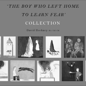 The Collection of 'The Boy Who Left Home to Learn Fear' 1969