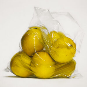 Lemons In Bag