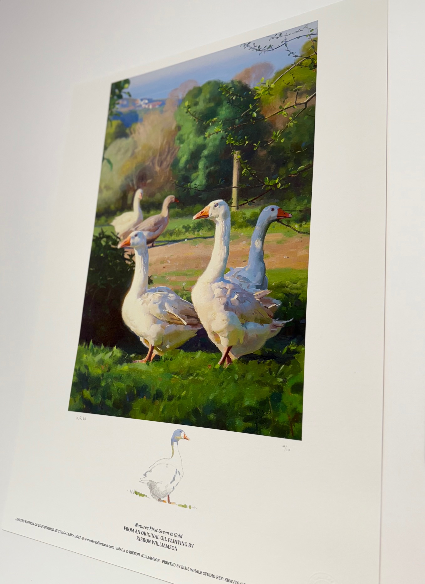 Number 4/10 - Image 3