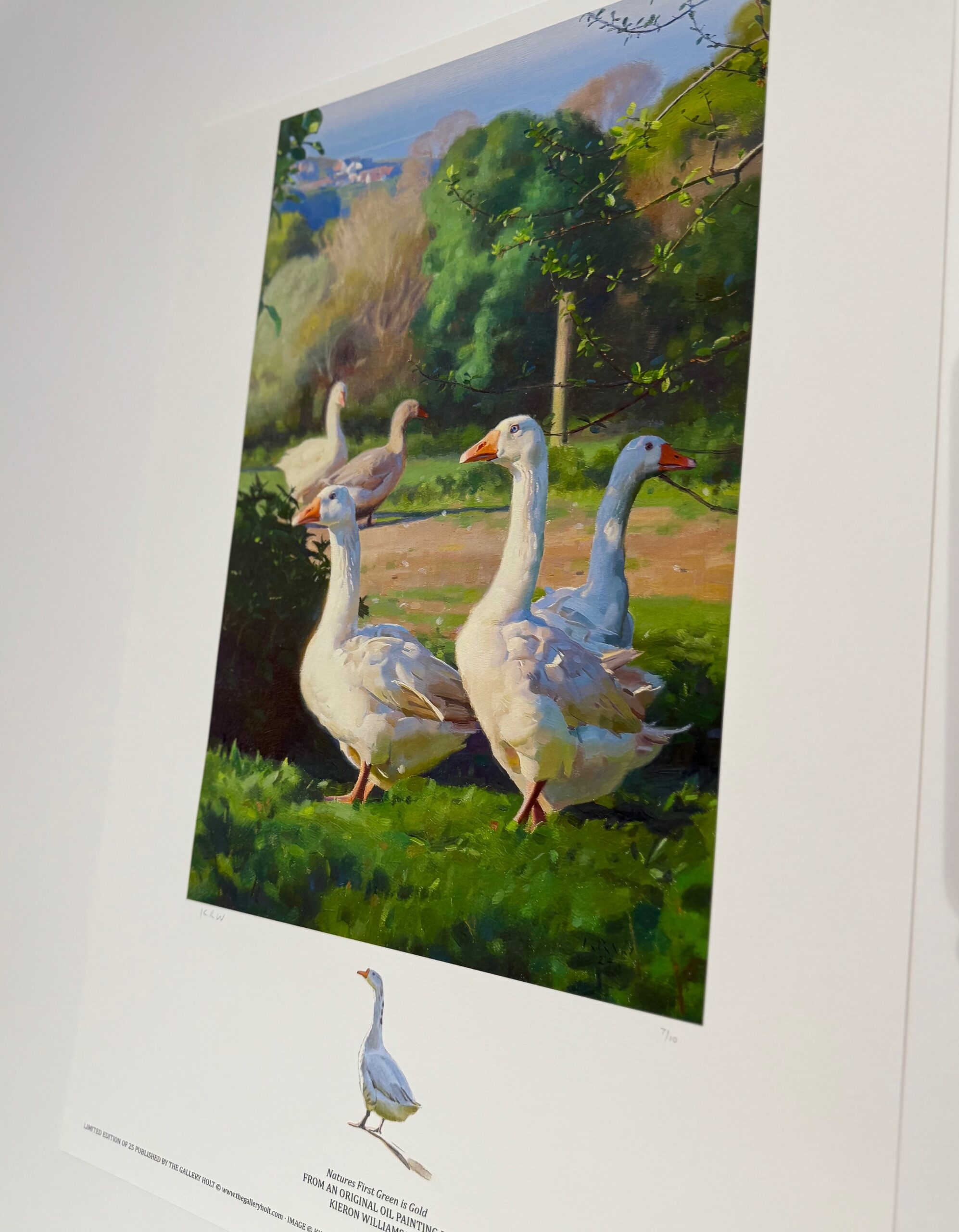 Number 7/10 - Image 3