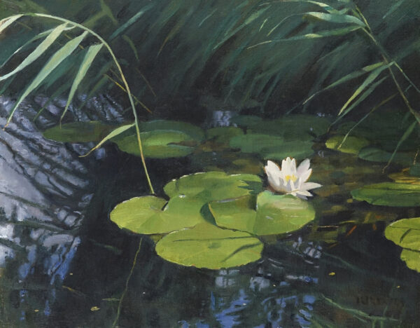 Rocking On The Ripples Of The Water