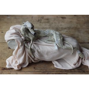 Dog on Chaise Longue with Flat Ears