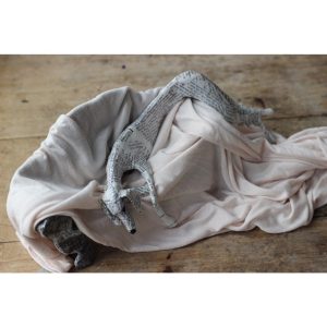 Dog on Print Sofa, Bottoms Up