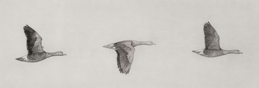 Three Flying Geese - Image 2