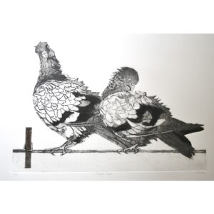 Pigeon Pair