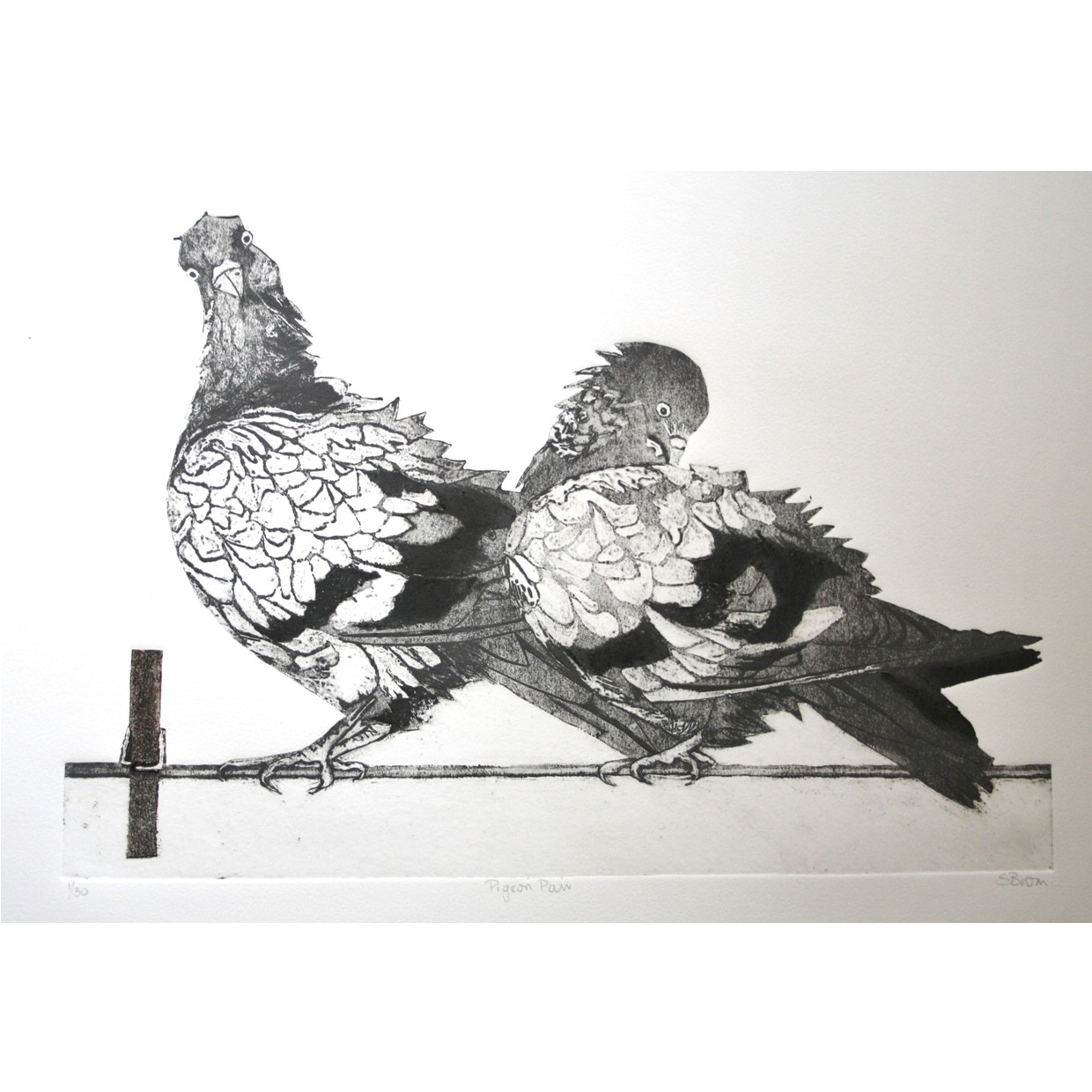 Pigeon Pair