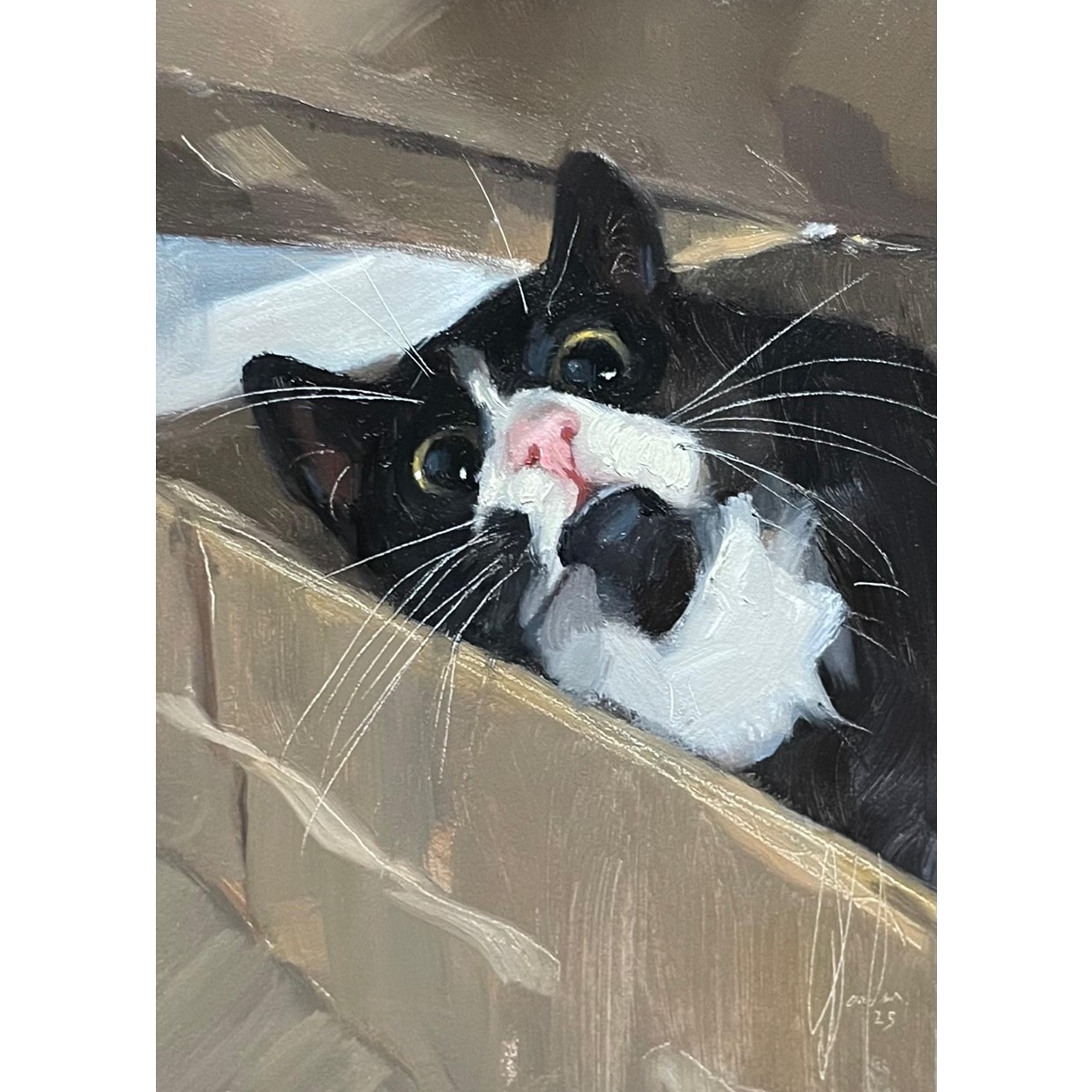 Home Is Where The Box Is!