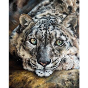 The Gaze