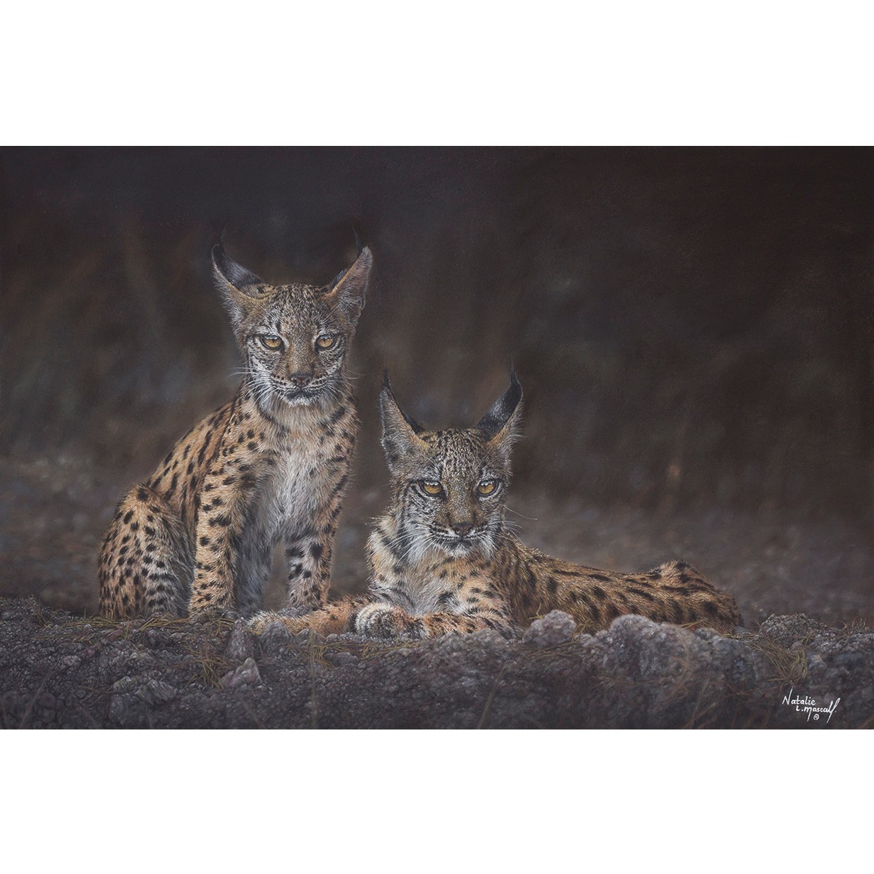 Whispers Of The Lynx