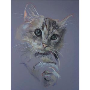 Bespoke Pet Portrait