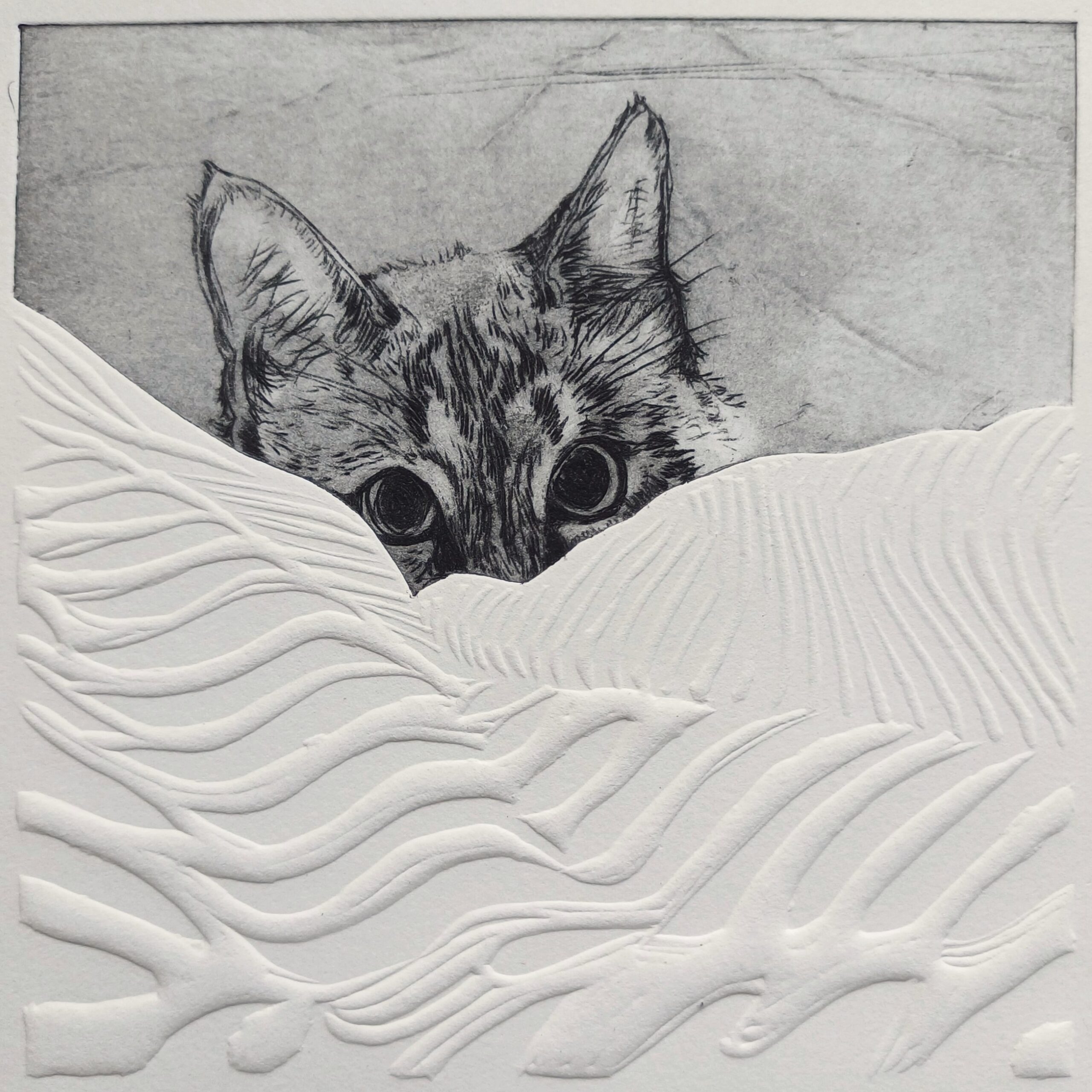13.5 Mog Duvet