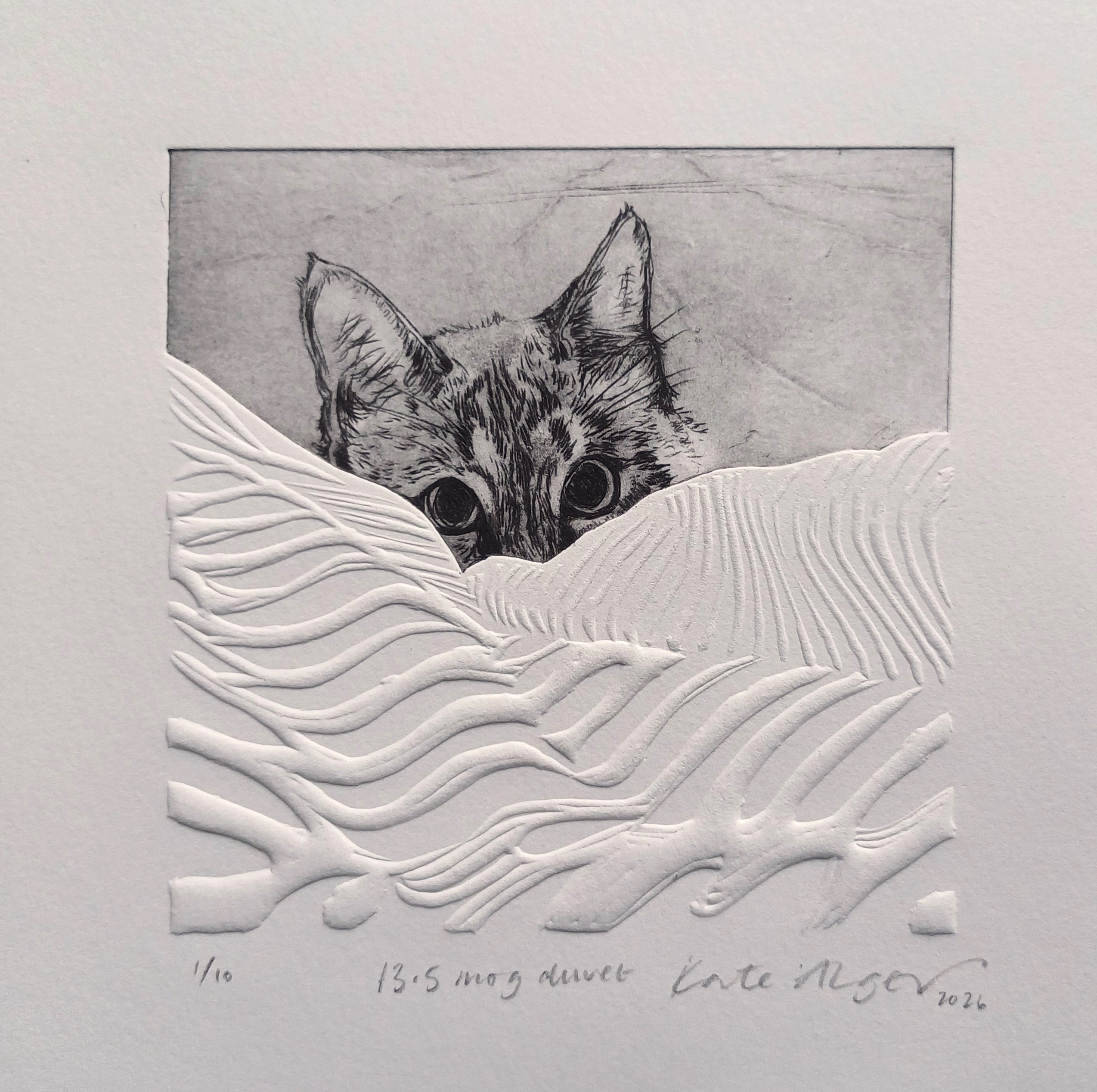 13.5 Mog Duvet - Image 2
