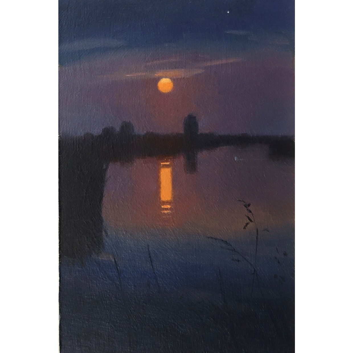 Moonlit Quiet