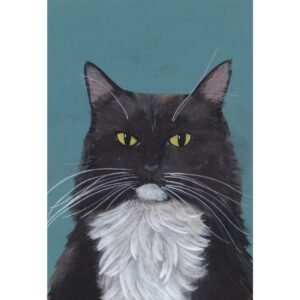 Black & White Cat
