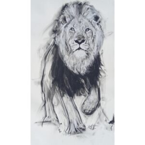 Lion IV