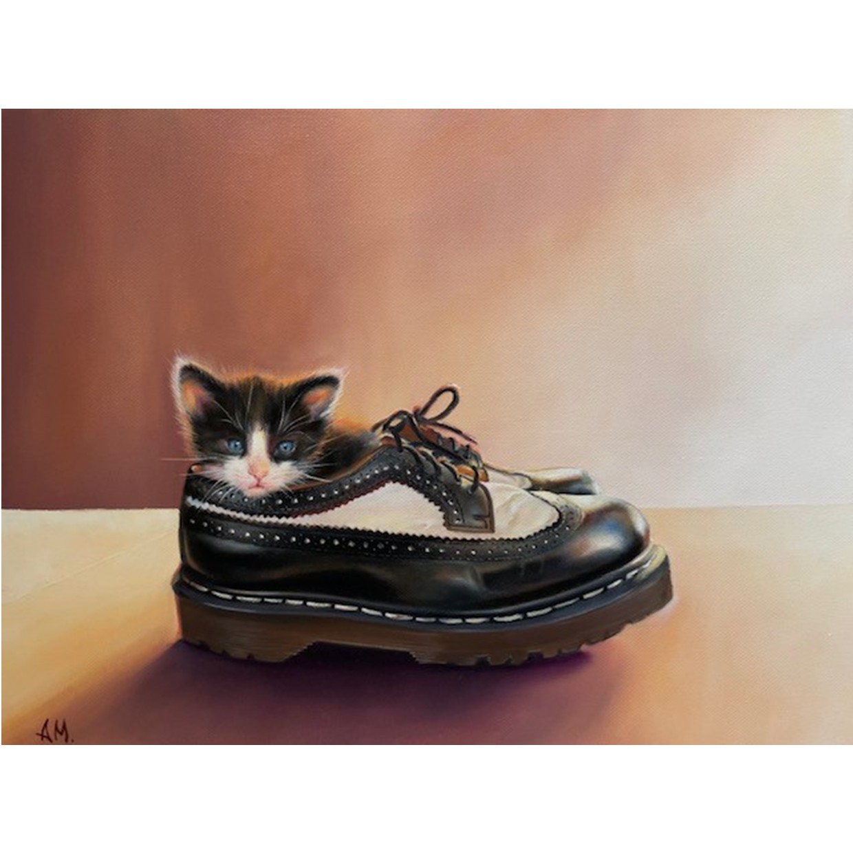 Tuxido Kitten In Dr. Martens