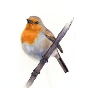 Winter Friend