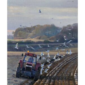Ploughing