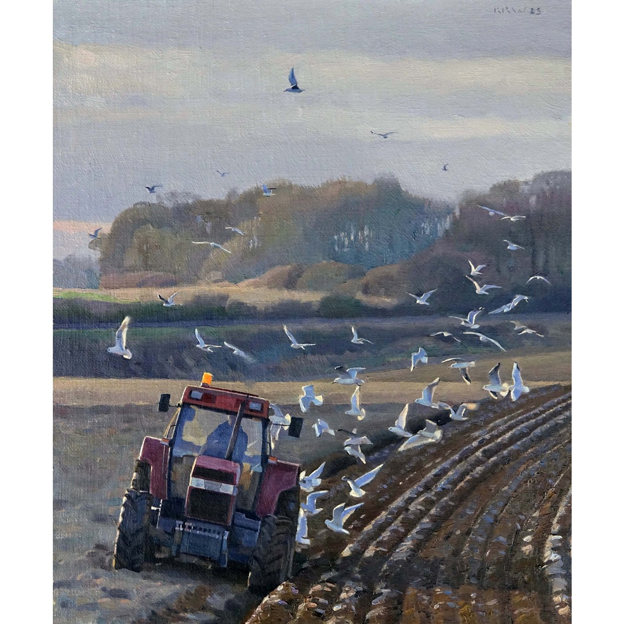 Ploughing