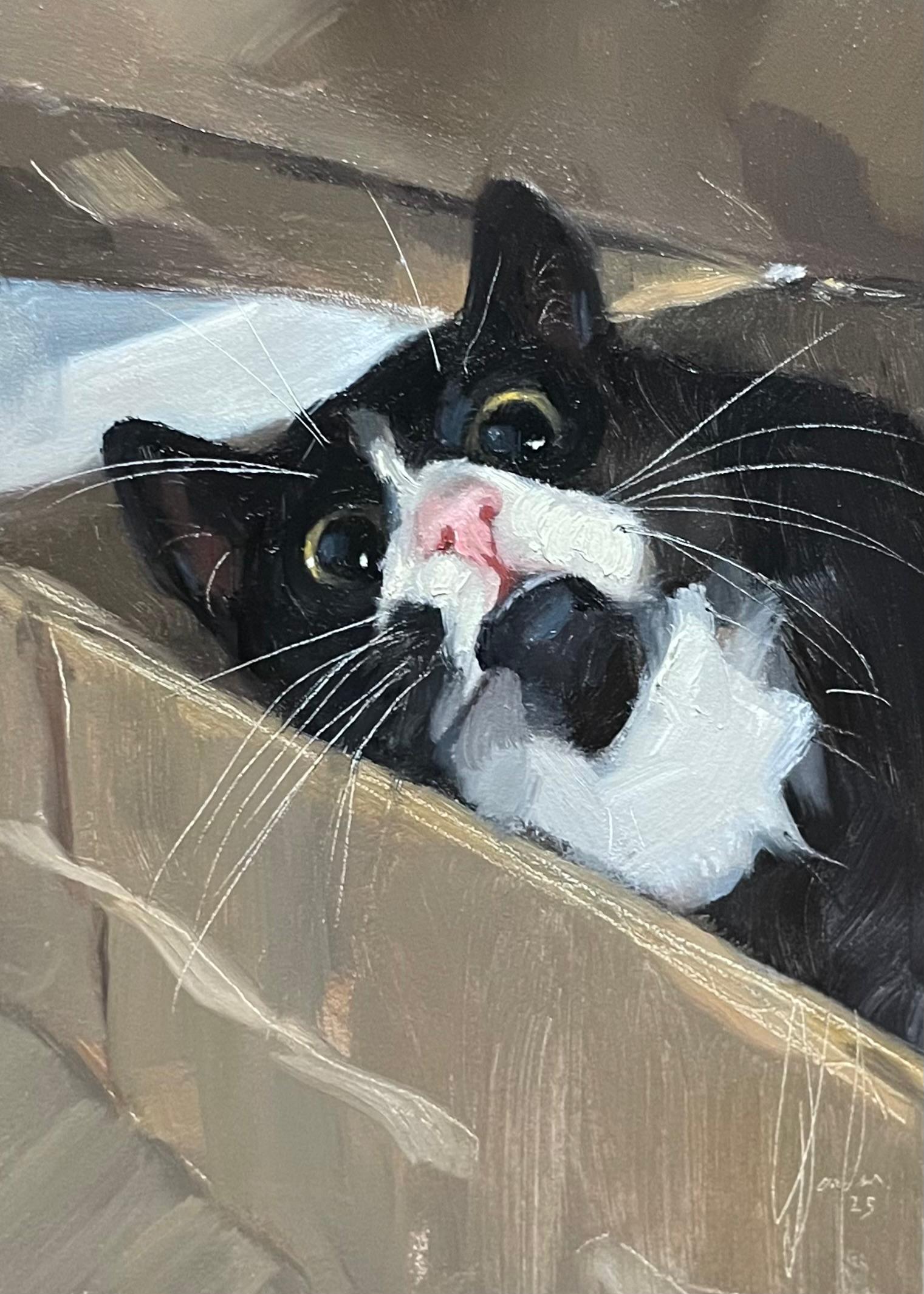 Home Is Where The Box Is! - Image 2