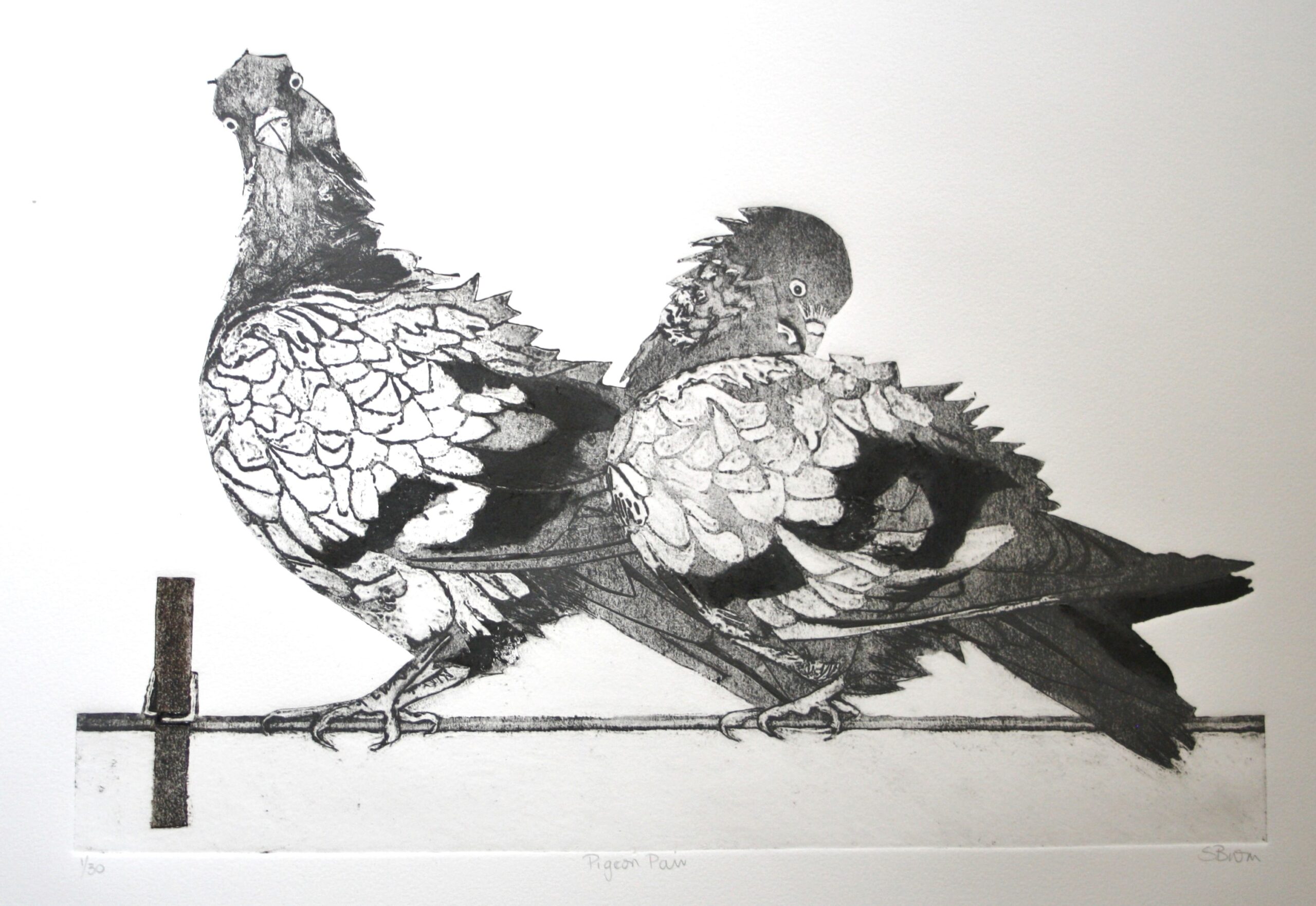 Pigeon Pair - Image 2