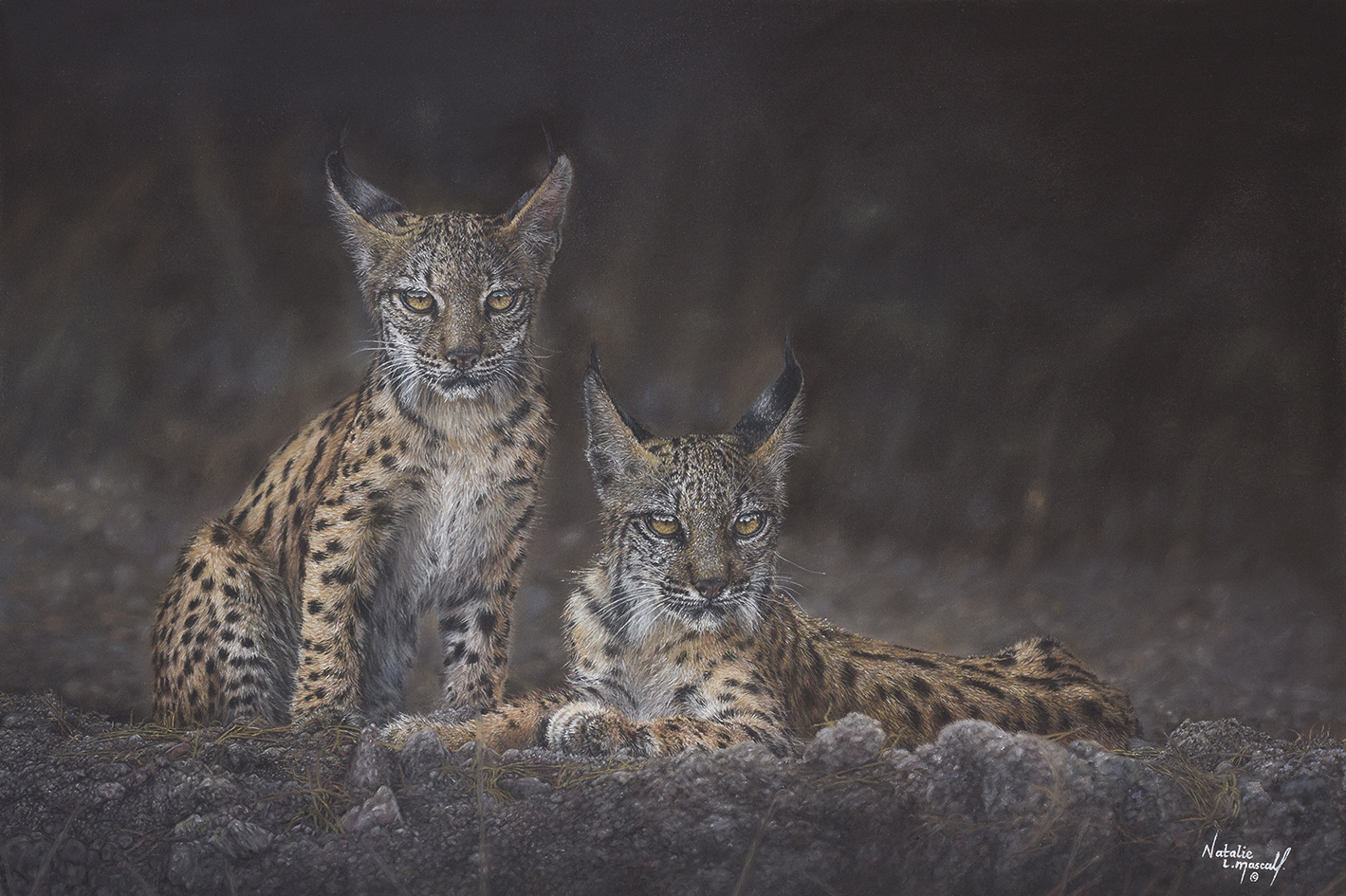 Whispers Of The Lynx - Image 2