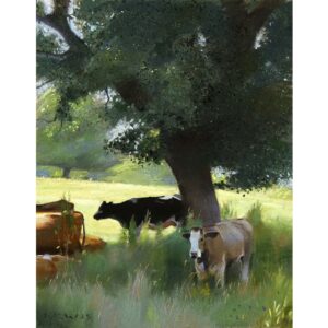 Round The Old Oak Tree