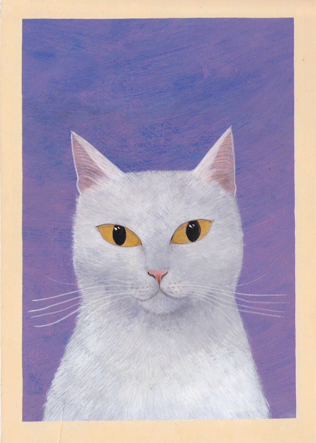 White Kitty - Image 2