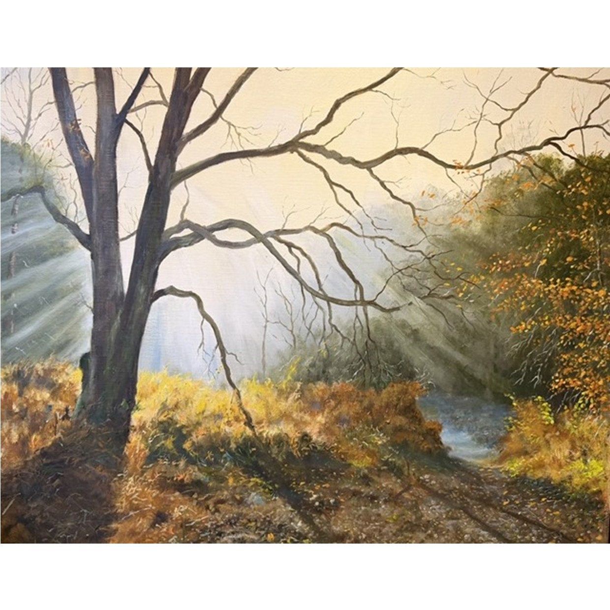 Knettishall Heath, On A February Morning