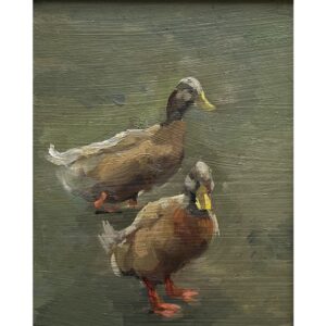 Duck On The Farm