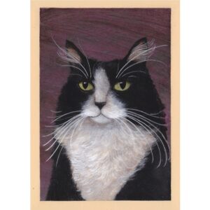 Black and White Kitty Cat