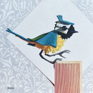 Blue Tit
