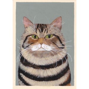 Grumpy Tabby Cat