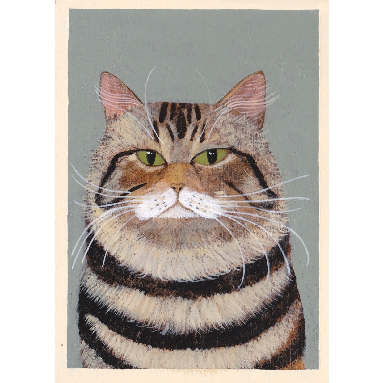 Grumpy Tabby Cat