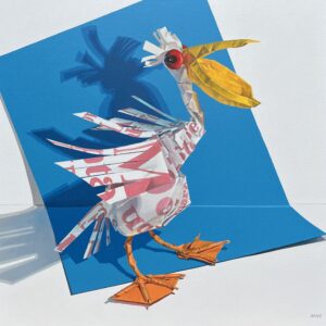 Pink Pelican