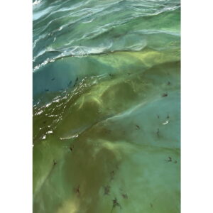 Surface: Cornwall 52