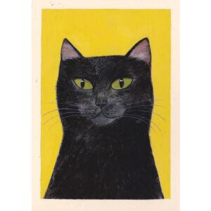 Black Cat