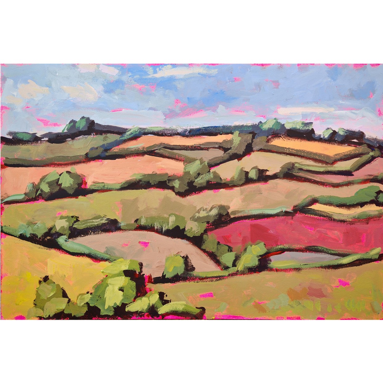 Terraced Fields