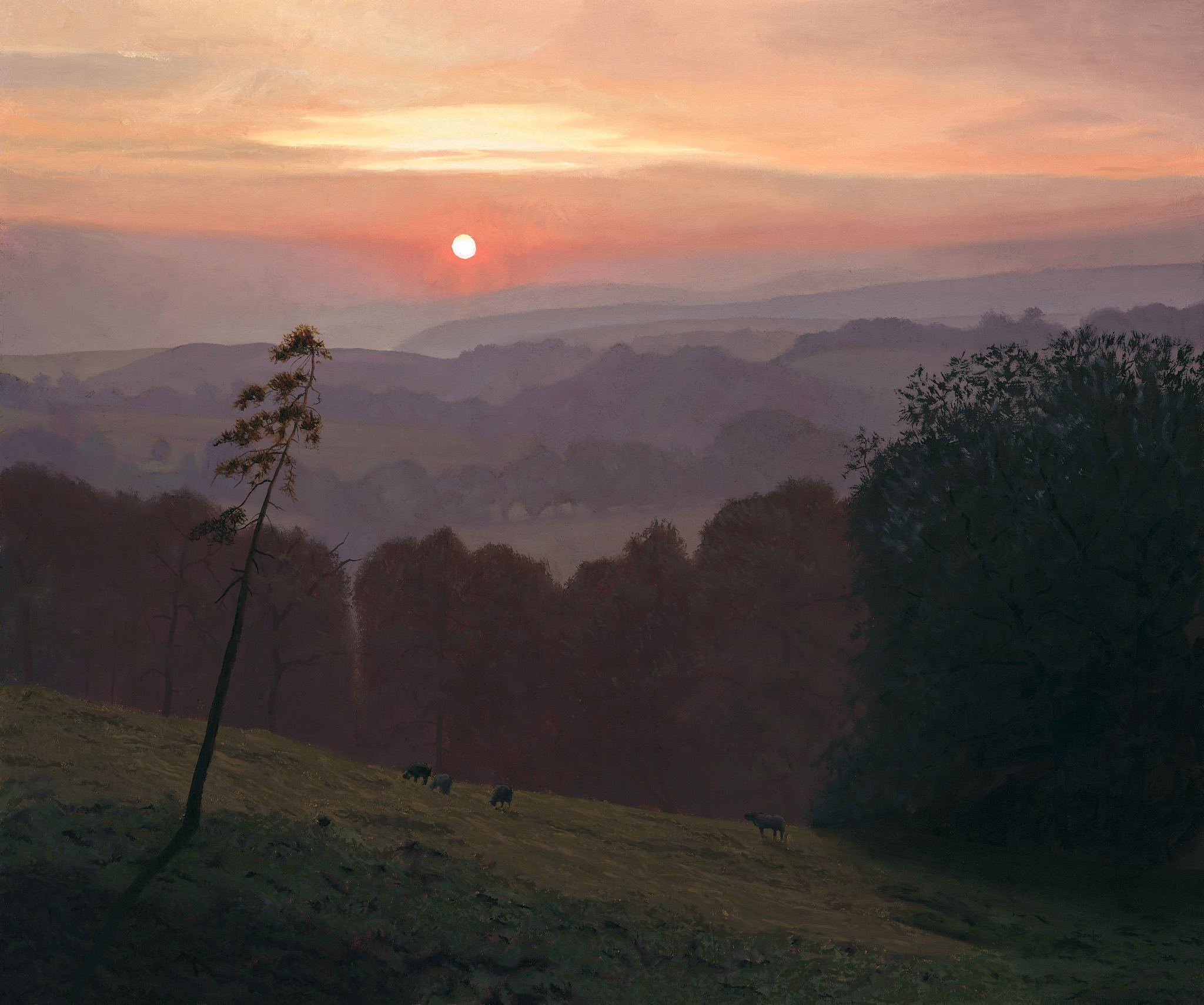 When The Sun Rose Quietly - Image 2