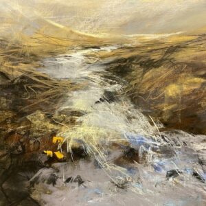 Wild Dartmoor