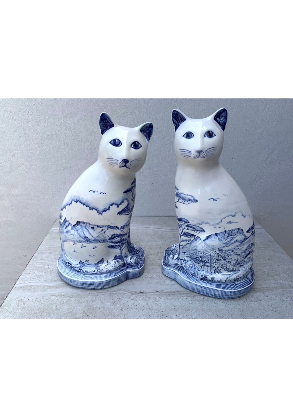 Cape landscape - Cat Pair