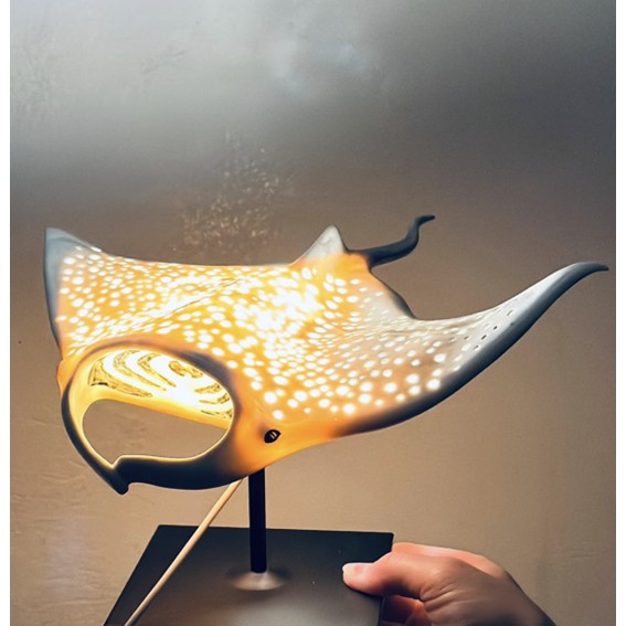 Manta Ray