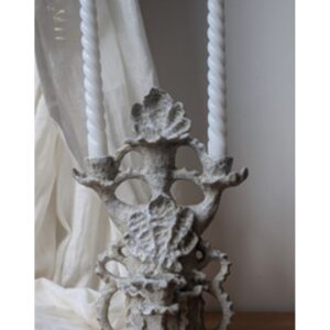 Shell candelabra