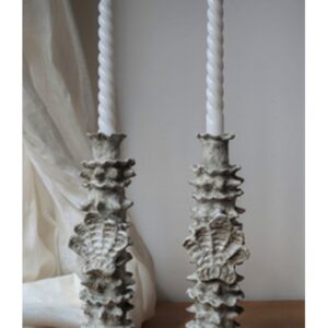 Shell Candlesticks I