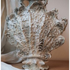 Shell Vase