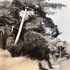 The Coast Path, Holkham, North Norfolk
