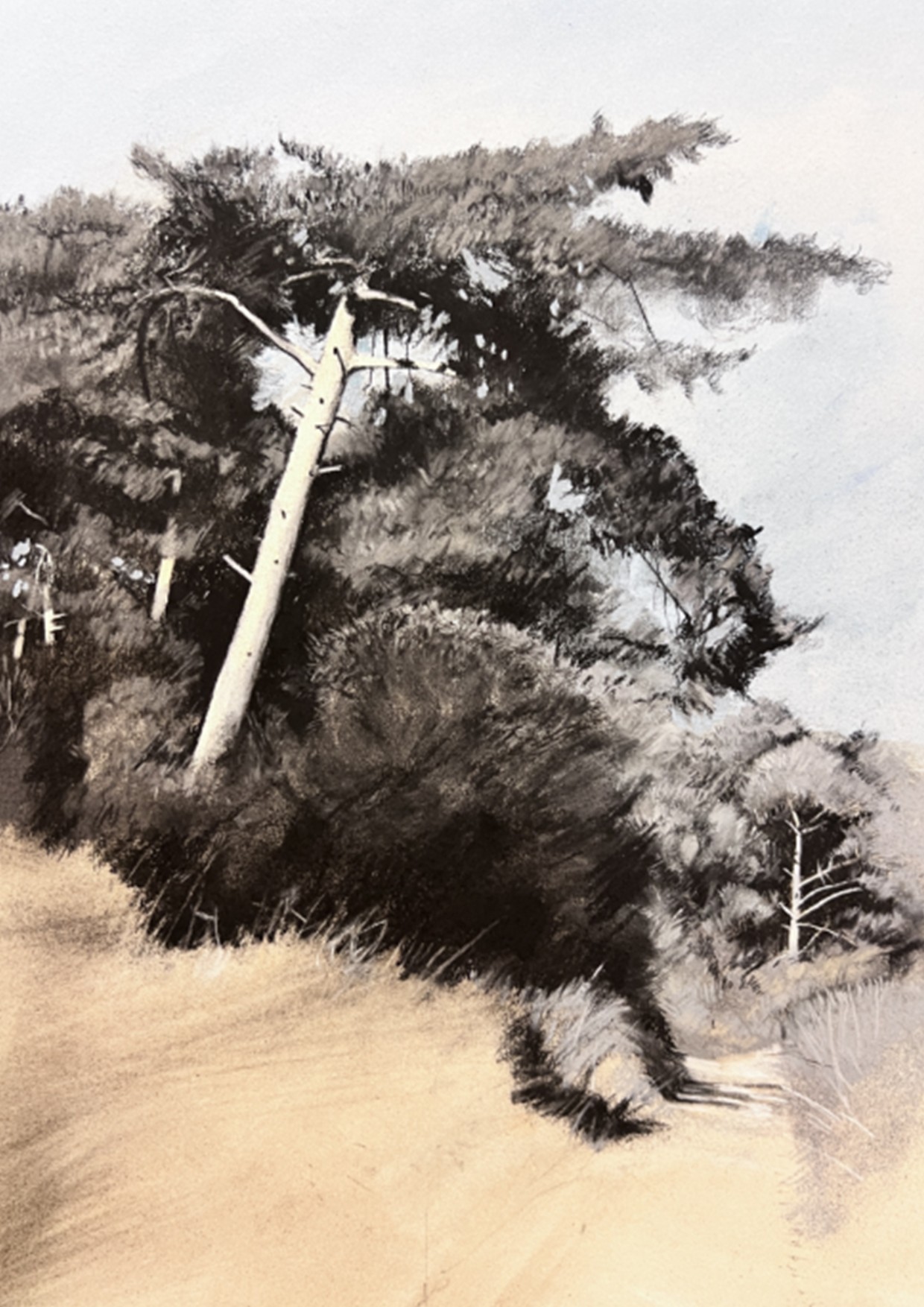 The Coast Path, Holkham, North Norfolk